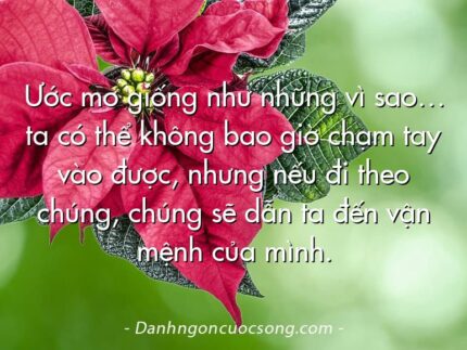 Ước mơ giống như những vì sao… ta có thể không bao giờ chạm tay vào được, nhưng nếu đi theo chúng, chúng sẽ dẫn ta đến vận mệnh của mình.