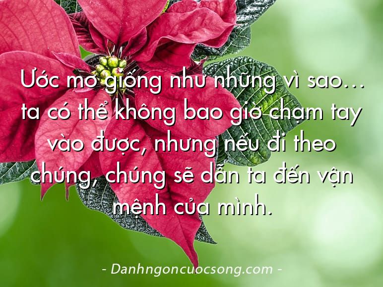 Ước mơ giống như những vì sao… ta có thể không bao giờ chạm tay vào được, nhưng nếu đi theo chúng, chúng sẽ dẫn ta đến vận mệnh của mình.
