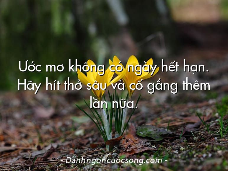 Ước mơ không có ngày hết hạn. Hãy hít thở sâu và cố gắng thêm lần nữa.