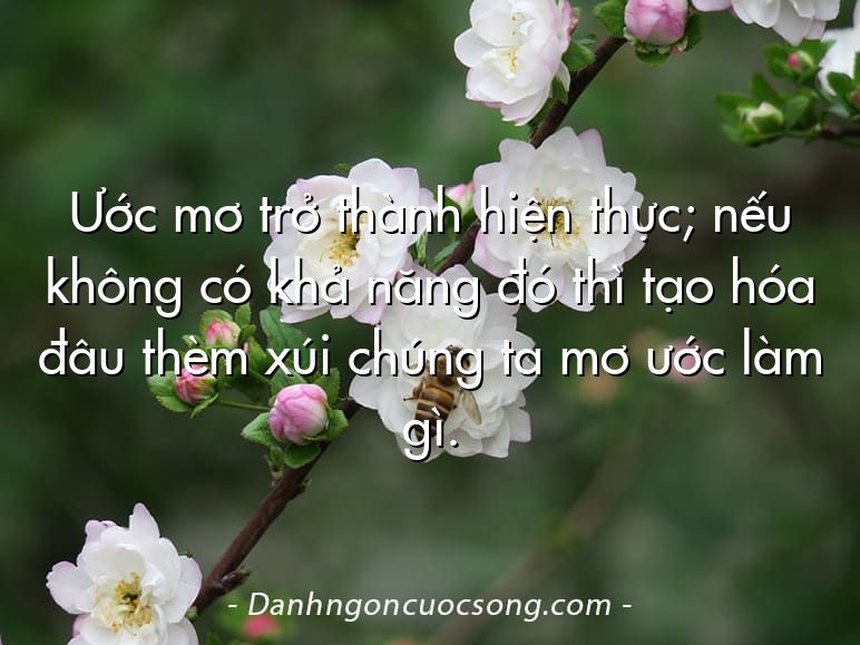 Ước mơ trở thành hiện thực; nếu không có khả năng đó thì tạo hóa đâu thèm xúi chúng ta mơ ước làm gì.