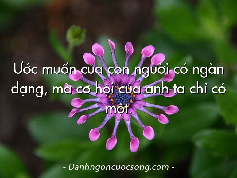 Ước muốn của con người có ngàn dạng, mà cơ hội của anh ta chỉ có một.