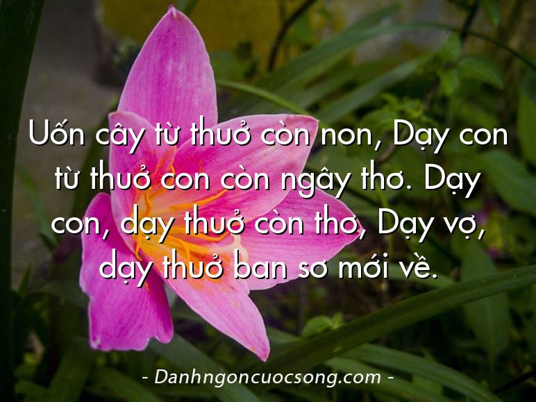 Uốn cây từ thuở còn non, Dạy con từ thuở con còn ngây thơ. Dạy con, dạy thuở còn thơ, Dạy vợ, dạy thuở ban sơ mới về.