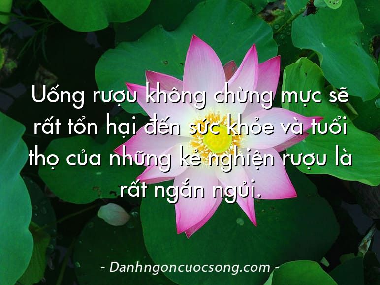Uống rượu không chừng mực sẽ rất tổn hại đến sức khỏe và tuổi thọ của những kẻ nghiện rượu là rất ngắn ngủi.