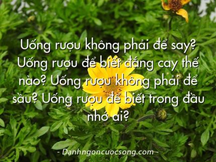 Uống rượu không phải để say? Uống rượu để biết đắng cay thế nào? Uống rượu không phải để sầu? Uống rượu để biết trong đầu nhớ ai?