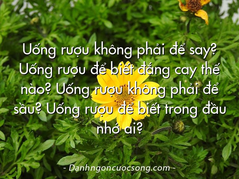 Uống rượu không phải để say? Uống rượu để biết đắng cay thế nào? Uống rượu không phải để sầu? Uống rượu để biết trong đầu nhớ ai?