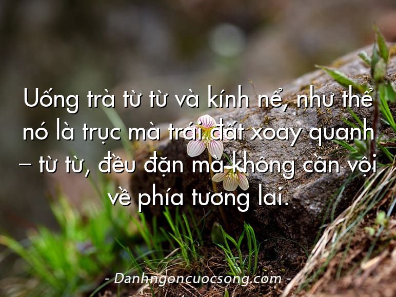 Uống trà từ từ và kính nể, như thể nó là trục mà trái đất xoay quanh – từ từ, đều đặn mà không cần vội về phía tương lai.