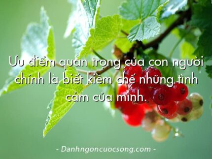 Ưu điểm quan trọng của con người chính là biết kiềm chế những tình cảm của mình.