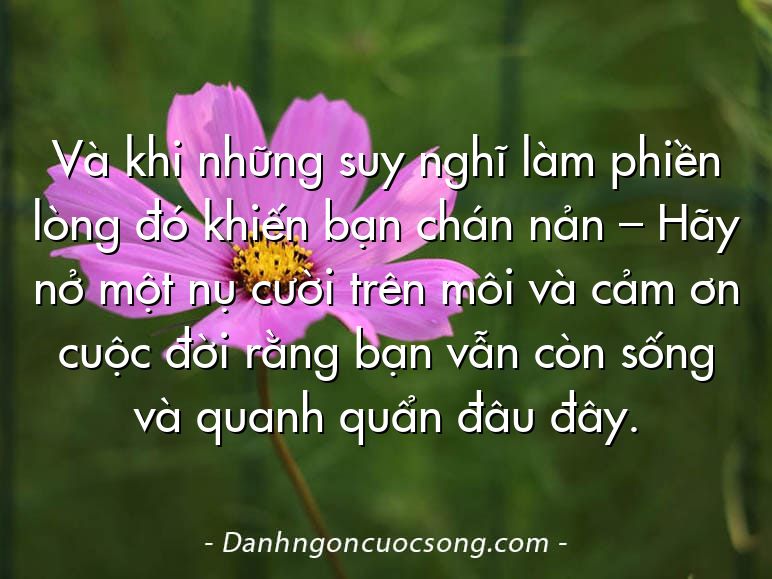 Và khi những suy nghĩ làm phiền lòng đó khiến bạn chán nản – Hãy nở một nụ cười trên môi và cảm ơn cuộc đời rằng bạn vẫn còn sống và quanh quẩn đâu đây.