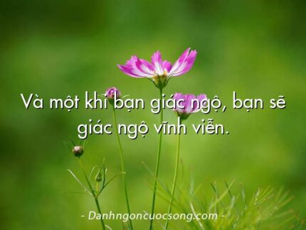 Và một khi bạn giác ngộ, bạn sẽ giác ngộ vĩnh viễn.