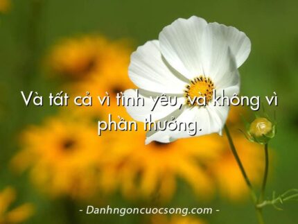 Và tất cả vì tình yêu, và không vì phần thưởng.