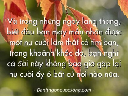 Và trong những ngày lang thang, biết đâu bạn may mắn nhận được một nụ cười làm thắt cả tim bạn, trong khoảnh khắc đó, bạn nghĩ cả đời này không bao giờ gặp lại nụ cười ấy ở bất cứ nơi nào nữa.