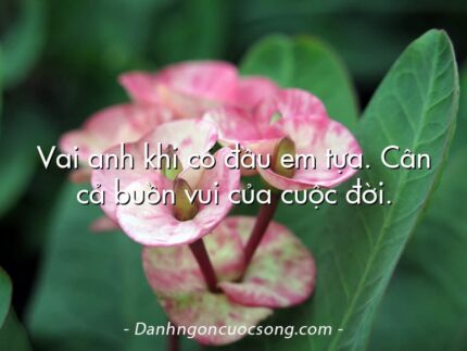 Vai anh khi có đầu em tựa. Cân cả buồn vui của cuộc đời.