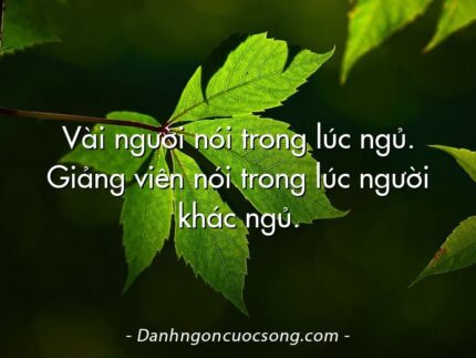 Vài người nói trong lúc ngủ. Giảng viên nói trong lúc người khác ngủ.