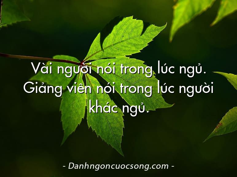 Vài người nói trong lúc ngủ. Giảng viên nói trong lúc người khác ngủ.
