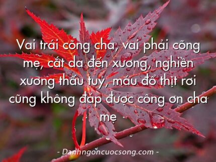 Vai trái cõng cha, vai phải cõng mẹ, cắt da đến xương, nghiền xương thấu tuỷ, máu đổ thịt rơi cũng không đáp được công ơn cha mẹ