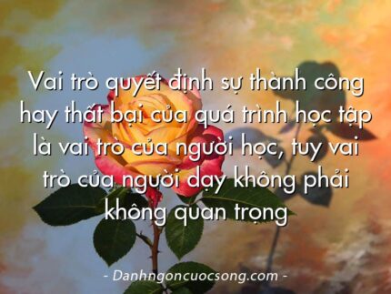 Vai trò quyết định sự thành công hay thất bại của quá trình học tập là vai trò của người học, tuy vai trò của người dạy không phải không quan trọng