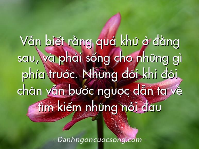 Vẫn biết rằng quá khứ ở đằng sau, và phải sống cho những gì phía trước. Nhưng đôi khi đôi chân vẫn bước ngược dẫn ta về tìm kiếm những nỗi đau