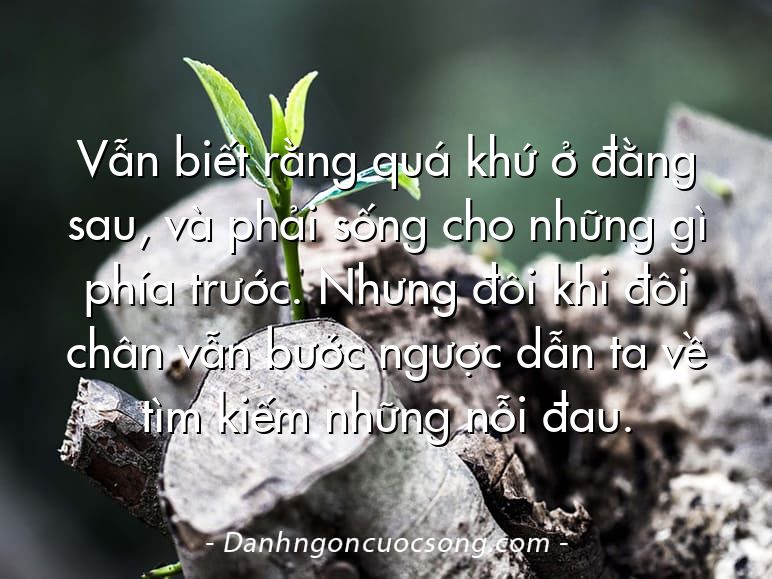 Vẫn biết rằng quá khứ ở đằng sau, và phải sống cho những gì phía trước. Nhưng đôi khi đôi chân vẫn bước ngược dẫn ta về tìm kiếm những nỗi đau.