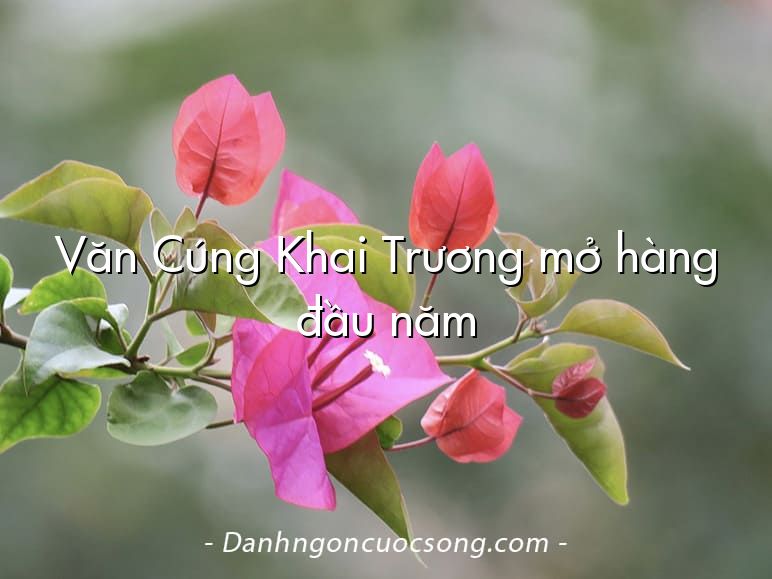 Văn Cúng Khai Trương mở hàng đầu năm