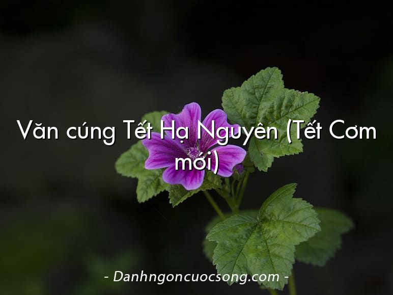 Văn cúng Tết Hạ Nguyên (Tết Cơm mới)