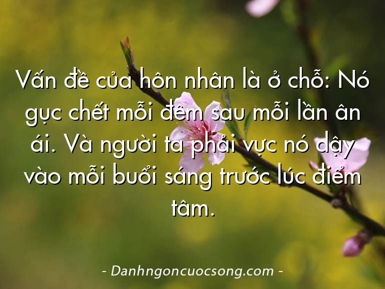 Vấn đề của hôn nhân là ở chỗ: Nó gục chết mỗi đêm sau mỗi lần ân ái. Và người ta phải vực nó dậy vào mỗi buổi sáng trước lúc điểm tâm.