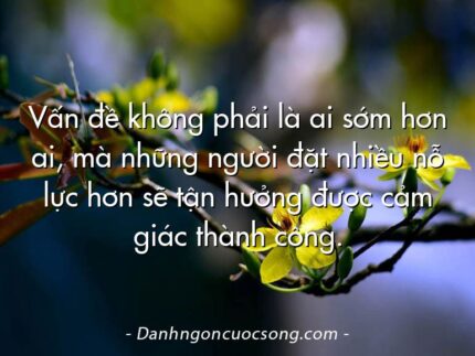Vấn đề không phải là ai sớm hơn ai, mà những người đặt nhiều nỗ lực hơn sẽ tận hưởng được cảm giác thành công.