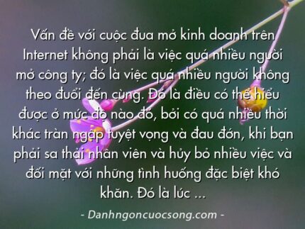 Vấn đề với cuộc đua mở kinh doanh trên Internet không phải là việc quá nhiều người mở công ty; đó là việc quá nhiều người không theo đuổi đến cùng. Đó là điều có thể hiểu được ở mức độ nào đó, bởi có quá nhiều thời khác tràn ngập tuyệt vọng và đau đớn, khi bạn phải sa thải nhân viên và hủy bỏ nhiều việc và đối mặt với những tình huống đặc biệt khó khăn. Đó là lúc bạn biết được mình là ai và giá trị của mình là gì.