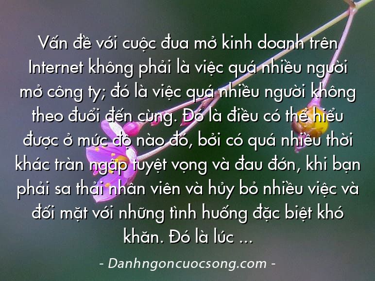 Vấn đề với cuộc đua mở kinh doanh trên Internet không phải là việc quá nhiều người mở công ty; đó là việc quá nhiều người không theo đuổi đến cùng. Đó là điều có thể hiểu được ở mức độ nào đó, bởi có quá nhiều thời khác tràn ngập tuyệt vọng và đau đớn, khi bạn phải sa thải nhân viên và hủy bỏ nhiều việc và đối mặt với những tình huống đặc biệt khó khăn. Đó là lúc bạn biết được mình là ai và giá trị của mình là gì.