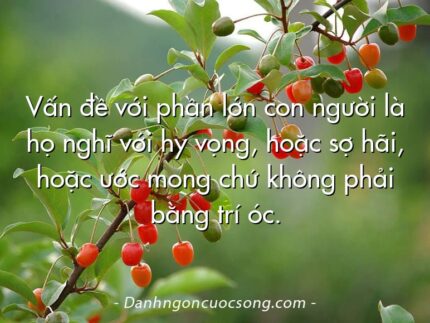 Vấn đề với phần lớn con người là họ nghĩ với hy vọng, hoặc sợ hãi, hoặc ước mong chứ không phải bằng trí óc.