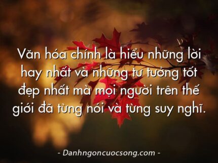 Văn hóa chính là hiểu những lời hay nhất và những tư tưởng tốt đẹp nhất mà mọi người trên thế giới đã từng nói và từng suy nghĩ.