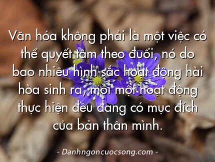 Văn hóa không phải là một việc có thể quyết tâm theo đuổi, nó do bao nhiêu hình sắc hoạt động hài hòa sinh ra, mỗi một hoạt động thực hiện đều đang có mục đích của bản thân mình.