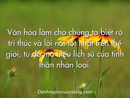 Văn hóa làm cho chúng ta biết rõ tri thức và lời nói tốt nhất trên thế giới, từ đó mà hiểu lịch sử của tinh thần nhân loại.
