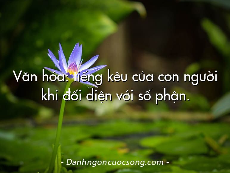 Văn hóa: tiếng kêu của con người khi đối diện với số phận.