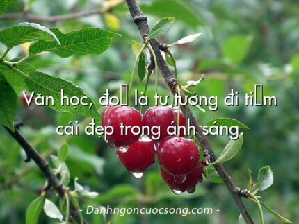 Văn học, đó là tư tưởng đi tìm cái đẹp trong ánh sáng.