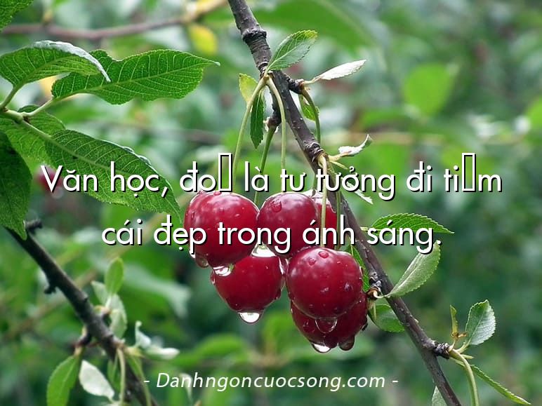 Văn học, đó là tư tưởng đi tìm cái đẹp trong ánh sáng.