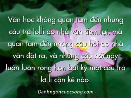 Văn học không quan tâm đến những câu trả lời do nhà văn đem lại, mà quan tâm đến những câu hỏi do nhà văn đặt ra, và những câu hỏi này luôn luôn rộng hơn bất kỳ một câu trả lời cặn kẽ nào.