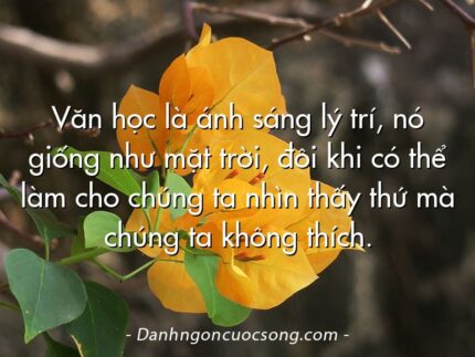 Văn học là ánh sáng lý trí, nó giống như mặt trời, đôi khi có thể làm cho chúng ta nhìn thấy thứ mà chúng ta không thích.