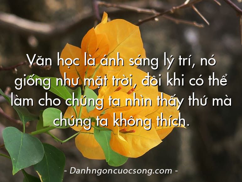 Văn học là ánh sáng lý trí, nó giống như mặt trời, đôi khi có thể làm cho chúng ta nhìn thấy thứ mà chúng ta không thích.