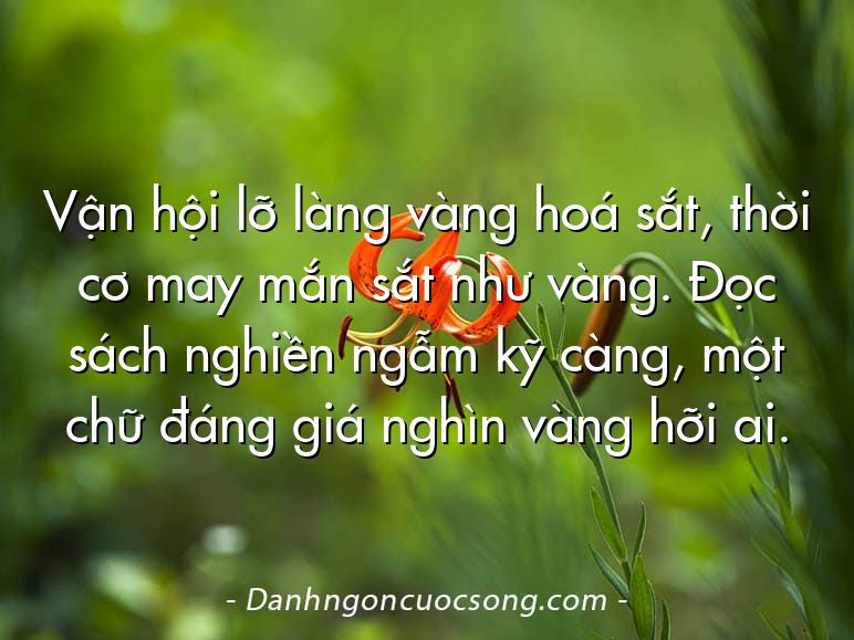 Vận hội lỡ làng vàng hoá sắt, thời cơ may mắn sắt như vàng. Đọc sách nghiền ngẫm kỹ càng, một chữ đáng giá nghìn vàng hỡi ai.