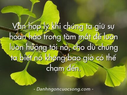 Vẫn hợp lý khi chúng ta giữ sự hoàn hảo trong tầm mắt để luôn luôn hướng tới nó, cho dù chúng ta biết nó không bao giờ có thể chạm đến.