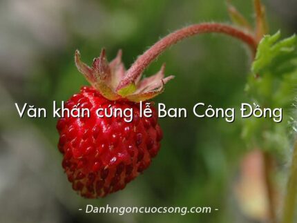Văn khấn cúng lễ Ban Công Đồng