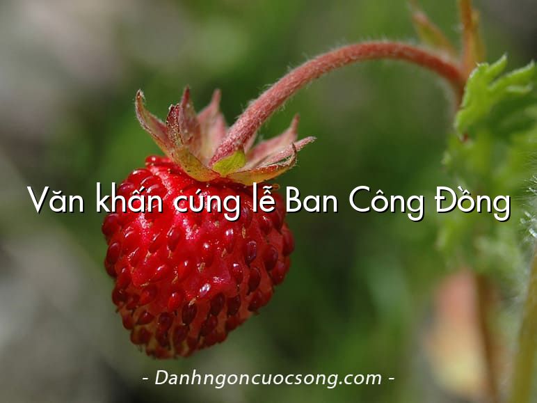 Văn khấn cúng lễ Ban Công Đồng