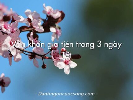 Văn khấn gia tiên trong 3 ngày Tết