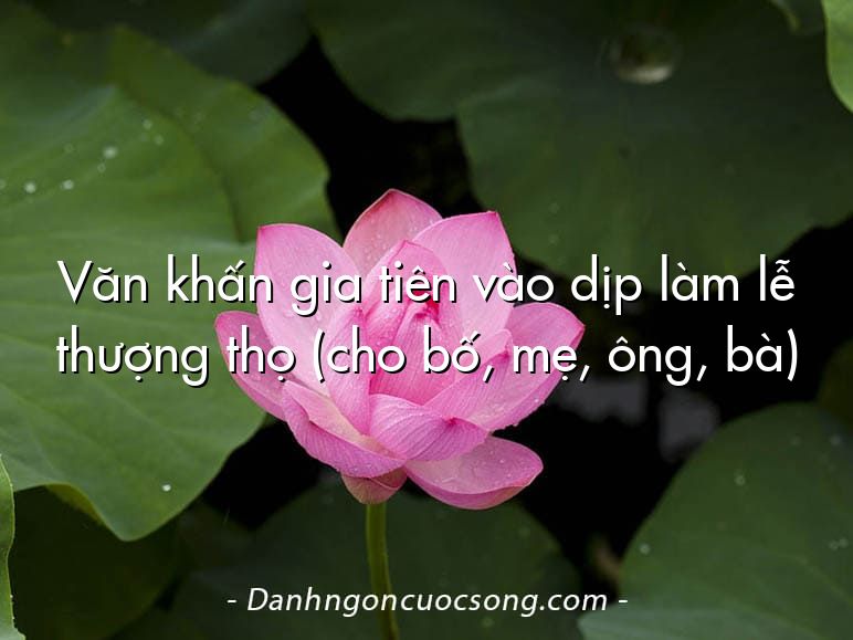 Văn khấn gia tiên vào dịp làm lễ thượng thọ (cho bố, mẹ, ông, bà)