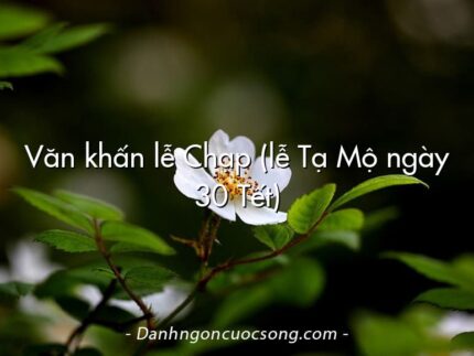 Văn khấn lễ Chạp (lễ Tạ Mộ ngày 30 Tết)