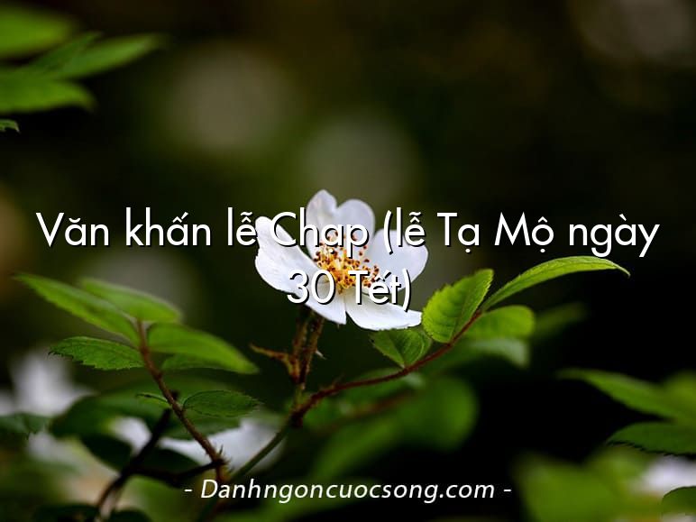 Văn khấn lễ Chạp (lễ Tạ Mộ ngày 30 Tết)