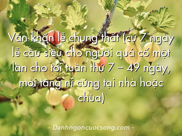 Văn khấn lễ chung thất (cứ 7 ngày lễ cầu siêu cho người quá cố một lần cho tới tuần thứ 7 – 49 ngày, mời tăng ni cúng tại nhà hoặc chùa)