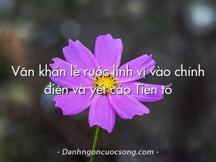 Văn khấn lễ rước linh vị vào chính điện và yết cáo Tiên tổ