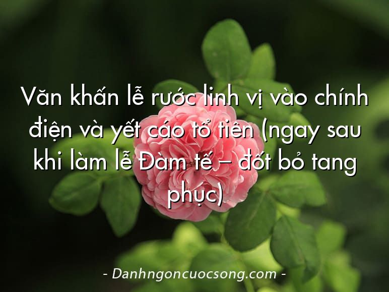 Văn khấn lễ rước linh vị vào chính điện và yết cáo tổ tiên (ngay sau khi làm lễ Đàm tế – đốt bỏ tang phục)