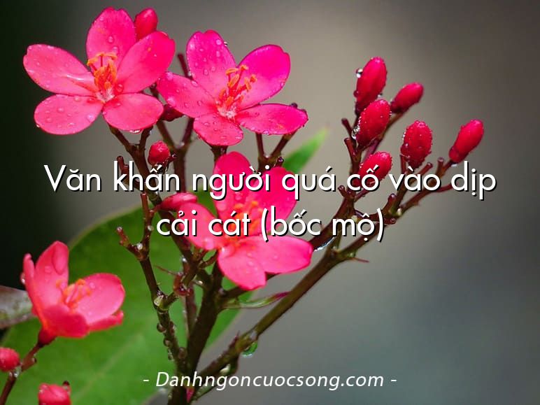 Văn khấn người quá cố vào dịp cải cát (bốc mộ)